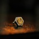 Hexagon Snake Stud Earrings – 925 Silver & Brass Inlay