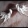 What Should a Sterling Silver Earring Product Page Disclose? A Field-by-Field Buyer’s Checklist