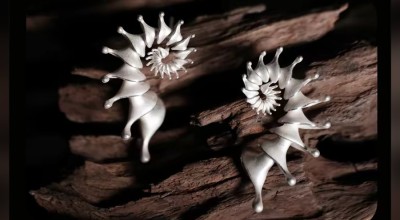 What Do Shell Earrings Mean? Archaeology, Material and Modern Symbolism