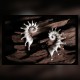Spiral Shell Ear Climber – Sculptural 925 Sterling Silver Spiral Shell Ear Climber – Sculptural 925 Sterling Silver