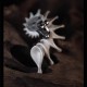 Silver Bird Ear Climber – Sculptural 925 Sterling Silver