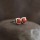 What Do Ruby Earrings Mean? Gemology, July Birthstone & Buyer Facts