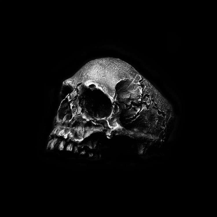 Rugged Skull Ring – 925 Silver Crackle Skull Ring for Men - 图片 5