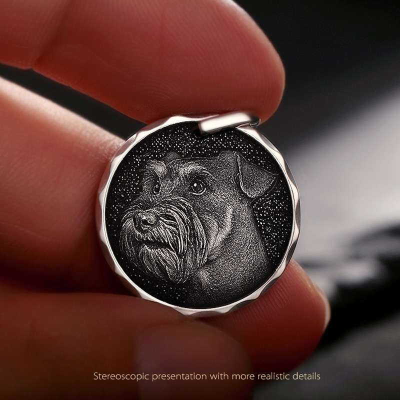 Personalized 925 Silver Photo Coins – Custom Engraved Keepsakes for Loved Ones & Pets - 图片 9