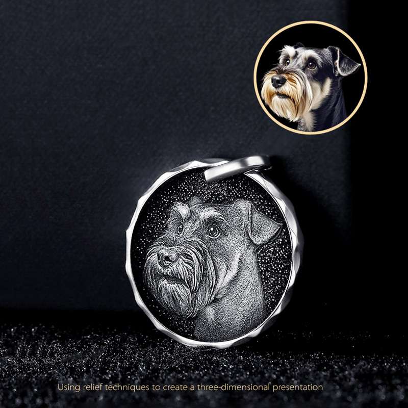 Personalized 925 Silver Photo Coins – Custom Engraved Keepsakes for Loved Ones & Pets - 图片 5
